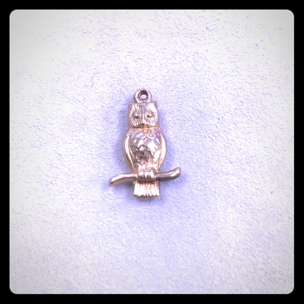 14k Yellow Gold Owl Charm